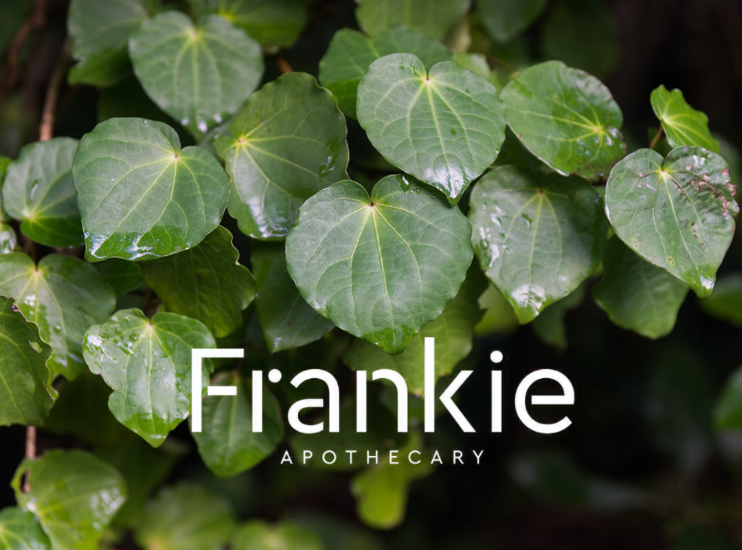 Is Kawakawa's botanical power natural magic, scientific fact or traditional rongoá?