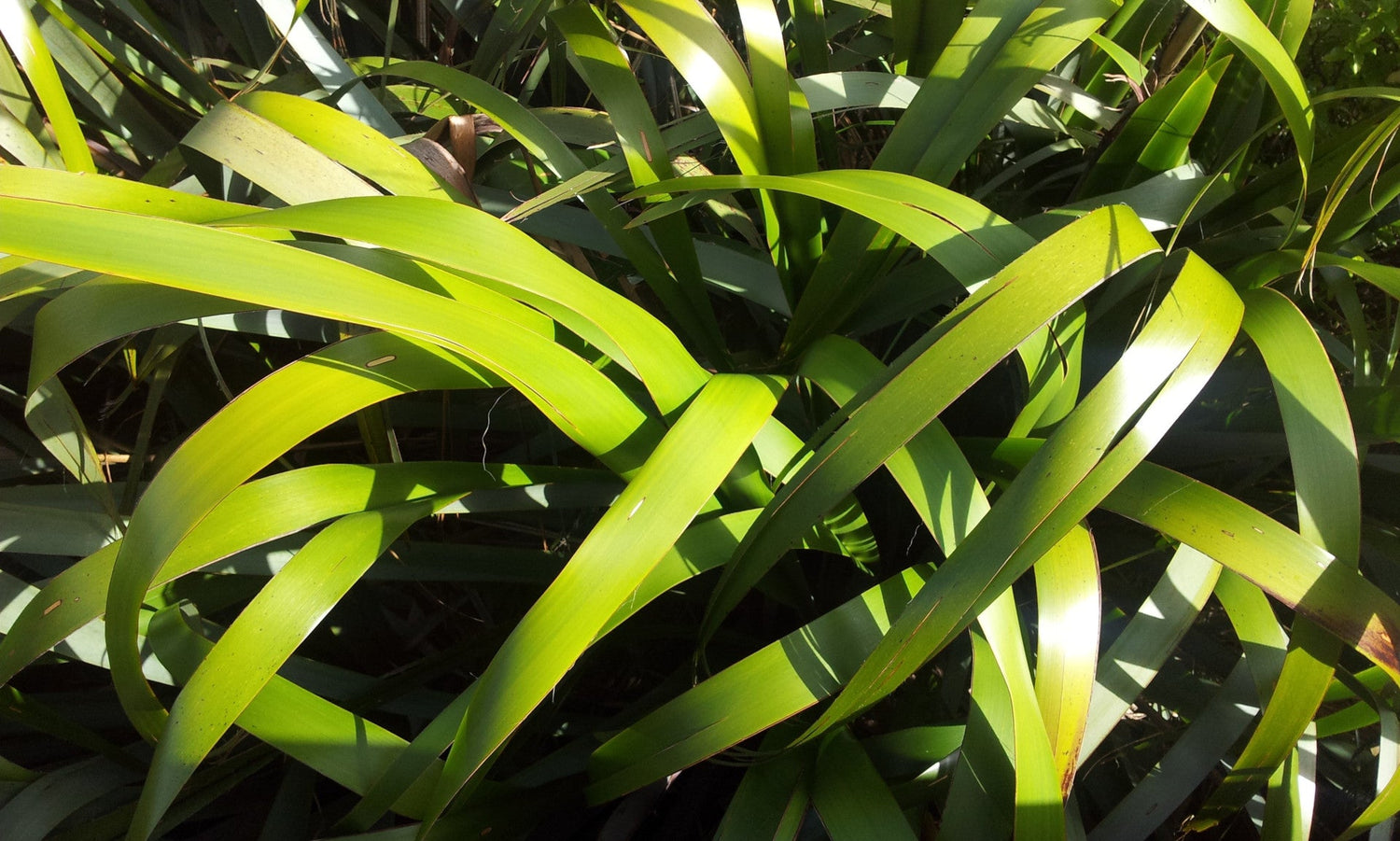 Greenwashing, hype, misinformation & discombobulation!