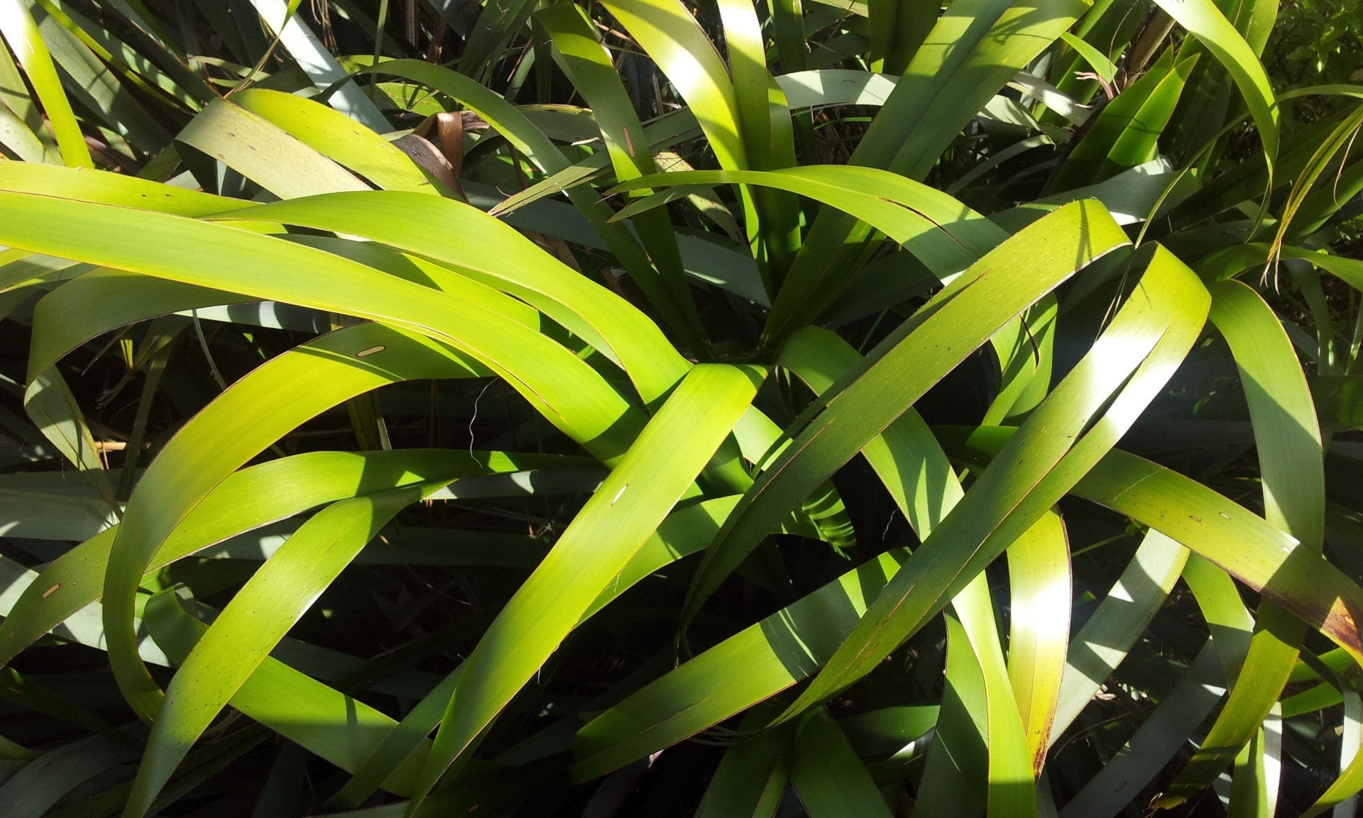 Greenwashing, hype, misinformation & discombobulation!